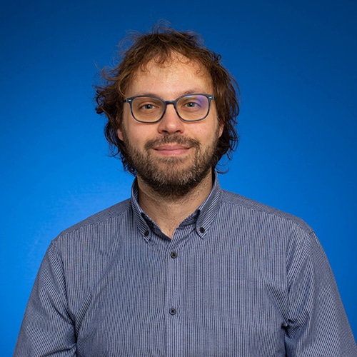 Prof. Dario Cavallo